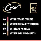 CESAR Adult Hundefutter nass - 2x24x100g Portionsbeutel - mit Rind, Huhn, Lamm und Truthahn - Hundenassfutter in Sauce - Ausgewogenes Premium Nassfutter für Hunde - 2er Pack
