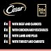 CESAR Adult Hundefutter nass - 2x24x100g Portionsbeutel - mit Rind, Huhn, Lamm und Truthahn - Hundenassfutter in Sauce - Ausgewogenes Premium Nassfutter für Hunde - 2er Pack
