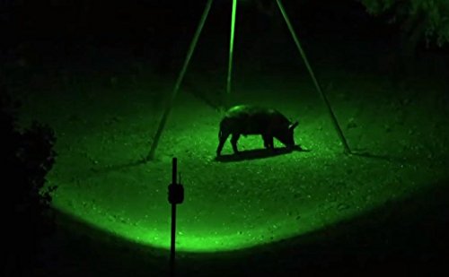 Blind Sider X2 Motion Activated Feeder & Bait Light (Green)