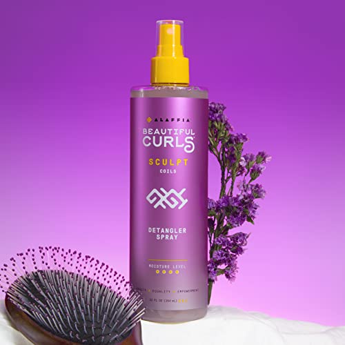 Alaffia Hair Care, Beautiful Curls Detangling Spray, Thick & Curly Hair Products, Shea Butter And Grape Seed Extract For Maximum Hydration In A Leave In Conditioner, 2 Pack - 12 Fl Oz Ea #TOP3