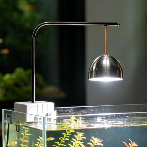 Éclairage pour aquarium à pince pour sublimer le bac à poissons d'un hall d'hôtel ou restaurant