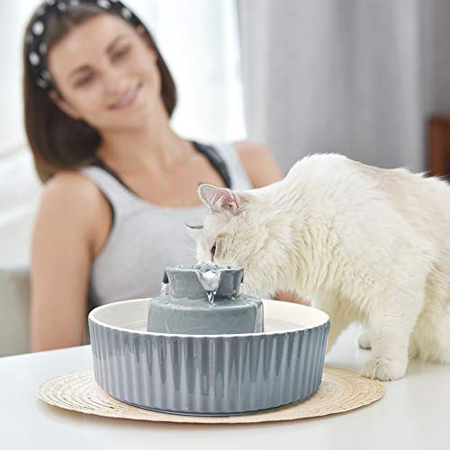 Image of Pet Drinking Fountain: Cepheus 2.1L /71oz Cat Fountain-Automatic Water Fountain for Cats and Dogs with with Ultra-Quiet Pump(Grey)