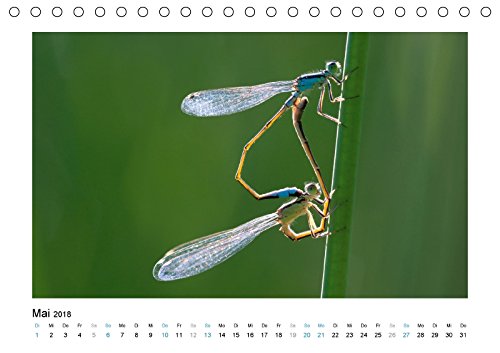 Faszinierende Libellen (Tischkalender 2018 DIN A5 quer): Dieser Kalender zeigt Ihnen die farbenprächtige Welt der heimischen Libelle. (Monatskalender, ... [Kalender] [Apr 07, 2017] Heufelder, Stefanie