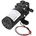 Diaphragm Pump, 36W Mini Water Pressure Diaphragm Pump, Double Straight Tube Agricultural, Industrial Diaphragm Pumps (DC24V)