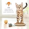 Purina Kitten Chow Dry Cat Food #3