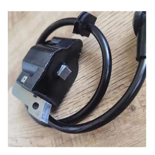Bobine d'allumage DMC621 résout les pannes de démarrage pour EB650