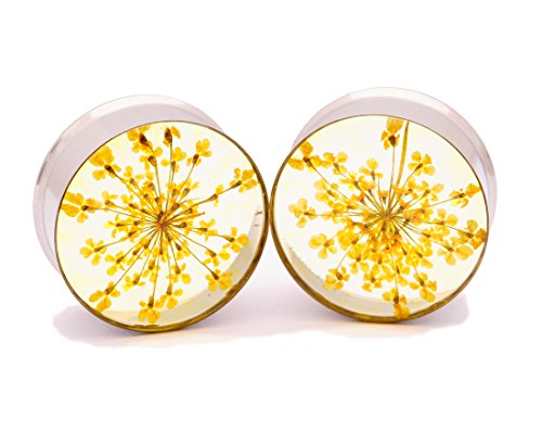 Mystic Metals Body Jewelry Embedded Real Yellow Queen Anne s Lace Flower Plugs - Sold As a Pair (1-1 2  (38mm))