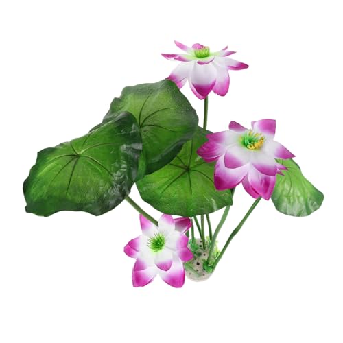 KALLORY AȐlHA vX`bN p^ 鋛ɗDA