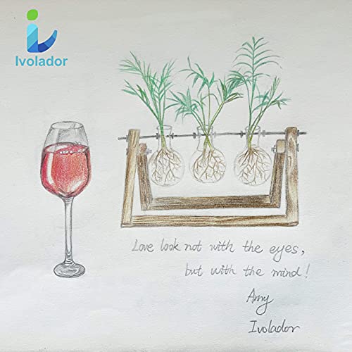 Ivolador Desktop Propagation Station, Bulb Plant Terrarium With Retro Solid Wooden Stand And Metal Swivel Holder For Hydroponics Plants Home Garden Wedding Decor (3 Bulb) #TOP7