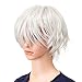 SWACC Unisex Fashion Spiky Layered Short Anime Cosplay Wig for Men and Women (Silver)