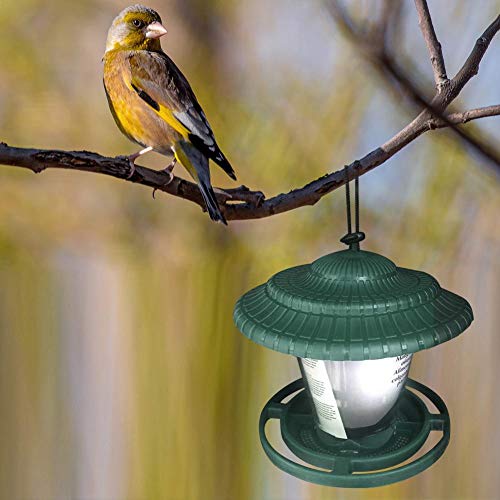 Automatic Bird Feeder, Outdoor Wild Balcony Waterproof Plastic Transparent Hanging Automatic Feeder for Feeding Parrot