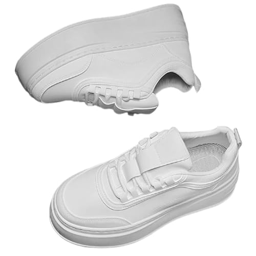 [mbolus] V[NbgV[Y Y [Jbg Xj[J[ 6cmAbv 8cm 10cm V[Nbg Ȃ gup ʊw Xj[J[ [XAbv gAbv JWA C YV[Y U[ t  H