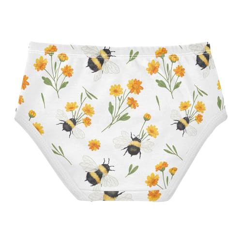 Toddler Girl Briefs, Bees Wings Cotton Girls Underwear, 2T–8 Years2