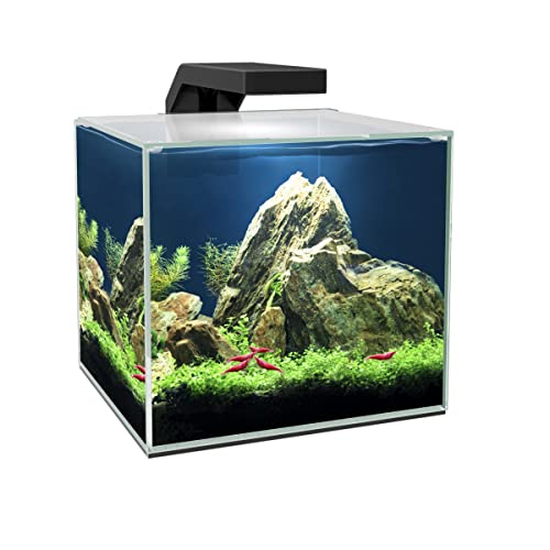 Set de Acuario Cube Aqua LED 15L LED y Filtración Alto Rendimiento, Tapa y Consumibles. Color Negro Cover