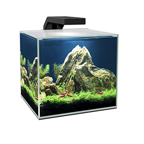 Ensemble Aquarium Cube Aqua LED 15L LED et filtration haute performance, couvercle et consommables Noir