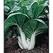 *Seeds and Things Bok Choy Pak Choi 200 seeds -Easy Grow