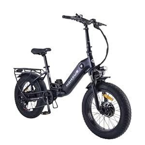 nakxus 20F213 E-bike, vouwfiets, pedelec met 20 inch Fat Tire, 250 W 80 N.m motor 36 V Li-ion accu voor lang bereik, e-bike voor dames en heren, 7 versnellingen Shimano, elektrische fiets voor