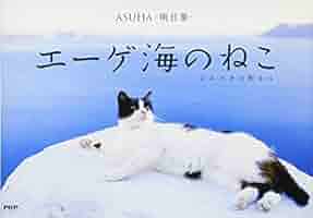 エーゲ海に寝る猫  油絵  【送料無料】 楽天市場】【8/4 20時〜100円OFFクーポン】 絵画 アート 油絵