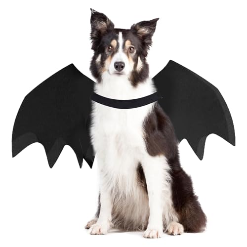 Disfraz de murciélago para perro, alas para perros