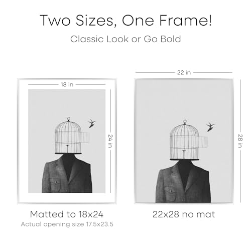 Image of Homeforia Silver 22x28 Picture Frame, Rectangular Metal Poster Frame with Mat, 22 x 28 Frame Matted to 18 x 24 Photo, Wall Mount, Minimalist Style, Tempered Glass, Wall Hook Included