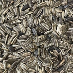 See full amazon price history chart for VM Mart Striped Sunflower Seed for Love Birds, Cocktail, Sun Conure All Birds Food 1 Kg VM Mart Striped Sunflower Seed for Love Birds, Cocktail, Sun Conure All Birds Food 1 Kg (B0CKXRNS1Y) Amazon Price History, Amazon Price Tracker