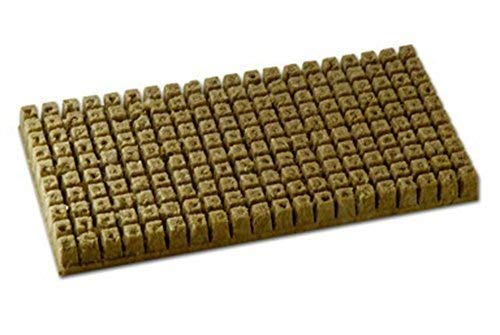 Grodan 1.5 Inch A OK Starter Plugs Cubes 100 Count Stone Rockwool Grow Media by Grodan