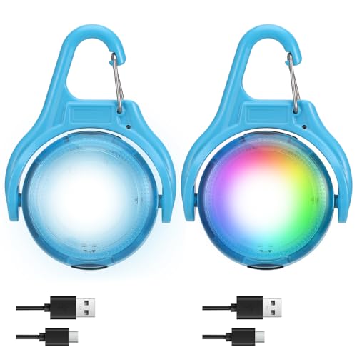 JIZZU 2 Lampes Nuit Rechargeable, LED Sécurité pour Chien et Chat - Changement de Couleur RGB + 4 Modes de Clignotement, Pendentif Lumineux IPX8 (Bleu)