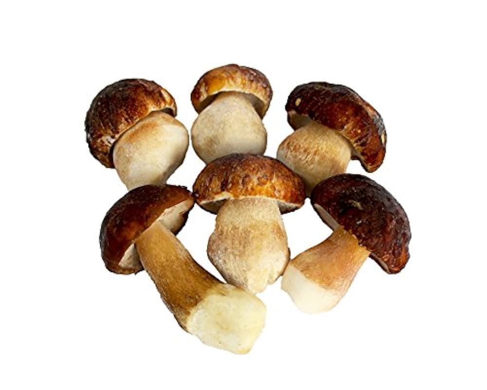 りょうさん用　冷凍ポルチーニ2キロ 楽天市場】ポルチーニ 冷凍 生冷凍 ダイスカット 500g 1000g