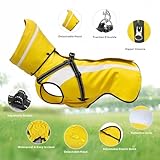 Oslueidy Hund Regenmantel wasserdichte Regenmäntel für Hunde Regenjacken mit Kapuze Haustier Regen Poncho Mantel für kleine mittlere große Hunde Welpen S-XXL (Gelb, M)