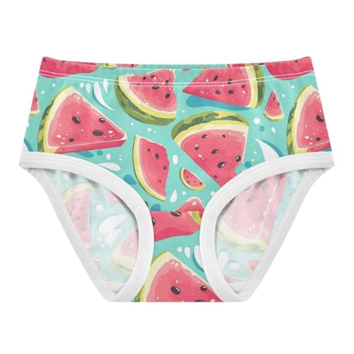 Wusikd Watermelon Slices Girls' Underwear Cotton Splashes Girls Briefs Soft Toddler Underwear 2T