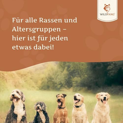 Wildfang® Lachsöl Hund 250 ml – Barf-Öl mit Omega 3 & 6 – Glänzendes Fell & gesunde Haut – Immunsystem stärken – Appetitanregend – Natürliches Ergänzungsfuttermittel