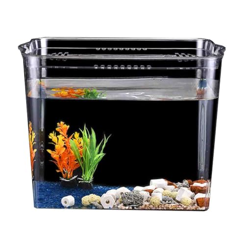 Hanshanyan   vX`bN   Wt 傫 A͔| e  h Ȑ ƒp  pi 琬 CeA Sޗ Ϗ܋p Sf (+Zbg1)