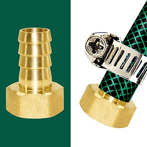 Raccord cannelé en laiton 1,6 cm adaptateur femelle 1,27 cm NPT pour connexion tube souple