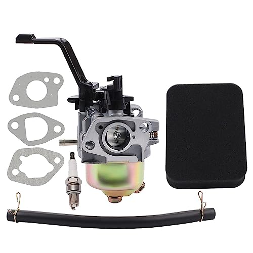 Dalom 196CC Carburetor for Champion Power Equipment CPE 3500 4000 Watt Portable Generator 46558 46561 46596 46533 46534 46535 46539 46540 46551 46553 46554 46555 40026 40008 Parts