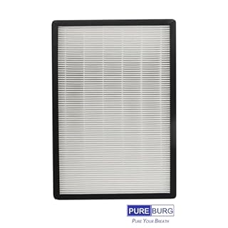 PUREBURG Replacement Filter Compatible with QooXoo QXPure9 Air Purifier, H13 HEPA Activated Carbon 2-in-1