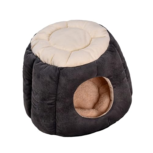 FONDOTIN ybgpgC pegxbh  ̃xbh  