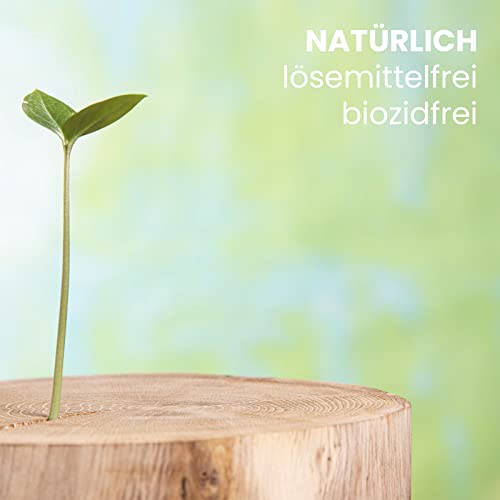 Holzschutzmittel zur Holzwurmbekämpfung, 5 Liter farblos I geruchsneutrales Mittel zum Vorbeugen und Bekämpfen von Holzwürmern & Holzschädlingen I Holzschutz für innen & außen - BEKATEQ BE-230