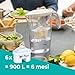 Pack de 6 filtros Laica bi-flux + 1 jarra de regalo. El...