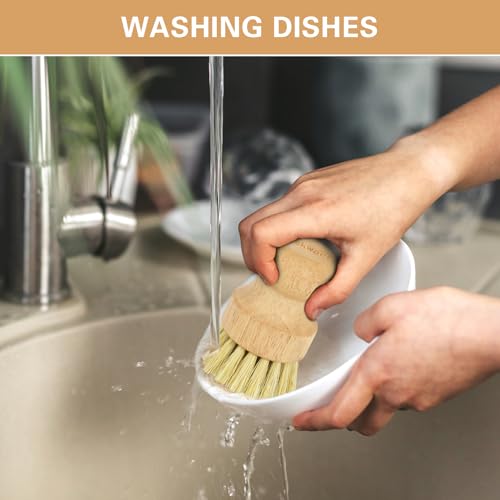 Image of Wooden Dish Brushes, Dish Scrubber Brush for Cleaning Dishes, Natural Sisal + Palm Bristles, Set of 2