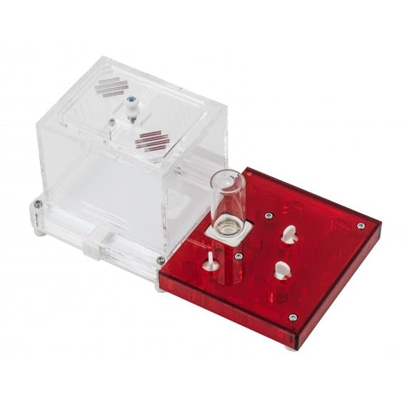 Kit Educativo de Hormigas Anthouse con Reina Incluida – Hormiguero Acrílico Profesional 10 x 20 x 1,3 cm para Niños y Principiantes | Granja de Hormigas para Observación y Aprendizaje (Transparente)