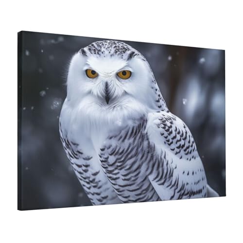 Toile chouette arctique poster mural moderne 40,6x61cm