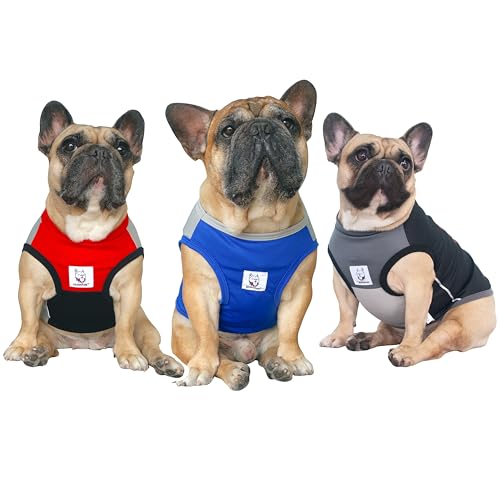 iChoue 3pcs French Bulldog Summer Cooling Shirt for Dogs UV