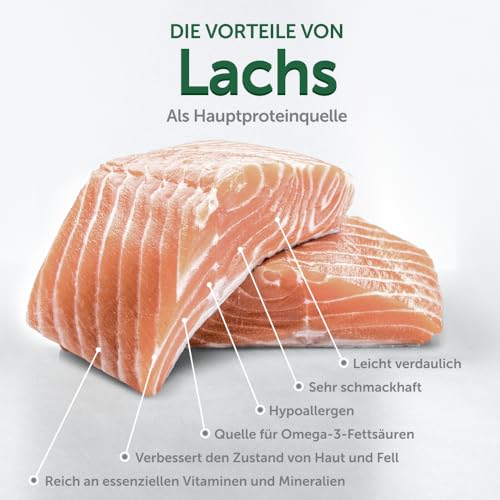 Nature's Protection Superior Care Hypoallergenes Hundefutter Trocken Getreidefrei für Alle Rassen - Welpenfutter mit Lachs für weiße Hunde, Entfernt Braune Tränenflecken, 10kg