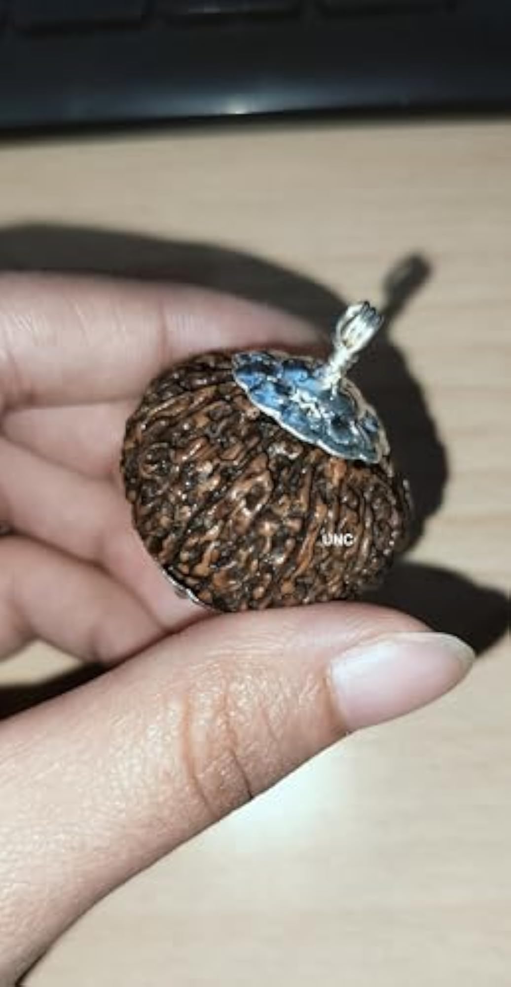 21 Mukhi Rudraksha Original Nepali Pendant, Certified
