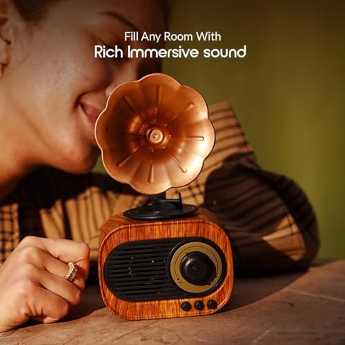 Image of Bigsmall Retro & Vintage Gramophone Bluetooth Speakers Combo | Premium Portable Decorative Speakers with Hands-Free Calling, Rich Sound, 6-Hour Battery, Original Design & 1-Year Warranty