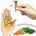 Exotic Nutrition Carrot Mini's - Fun & Unique Chew for Rabbits, Guinea Pigs, Hamsters, Chinchillas, Etc.