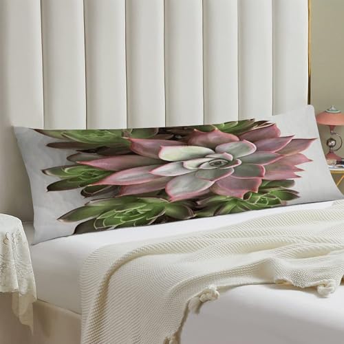 Housse de coussin long motif plante succulente pour lit et canapé
