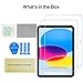 ProCase 2 Pack Screen Protector for iPad A16 2025 11th/10th 2022 Generation (11-inch/10.9), Tempered Glass Film Guard -Clear