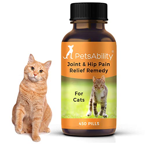 Best Cat Joint Supplement Where To Buy?