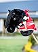 LeMieux Hobby Horse Spike - Handsome Black - Realistic Head - Perfect for Kids